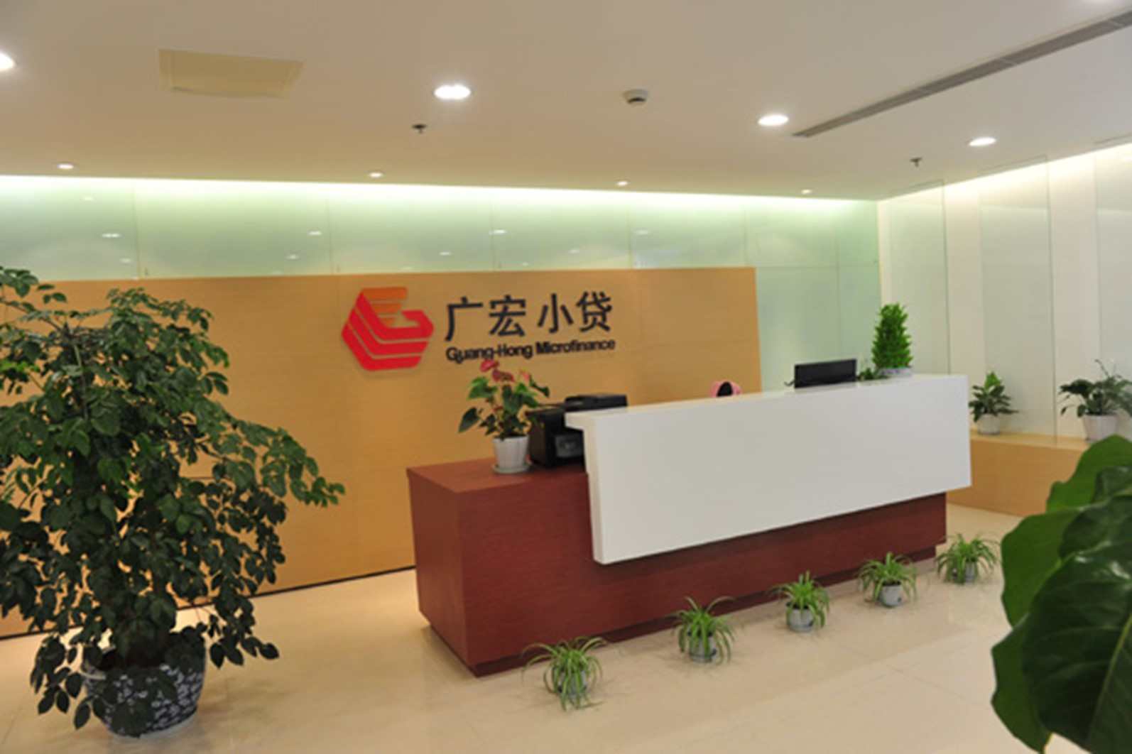 广宏小额贷款有限公司